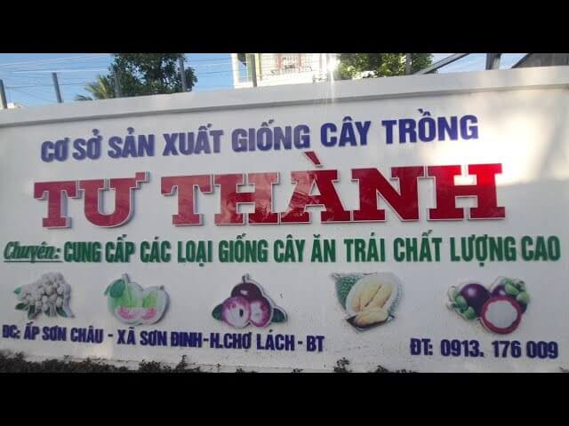 dong-hanh-cung-trai-giong-tu-thanh-cho-lach-ben-tre
