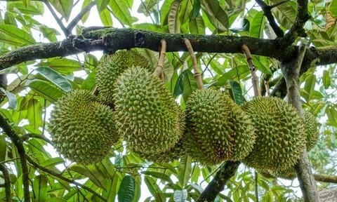 khong-lo-chay-la-khi-su-dung-HYDRO-MY