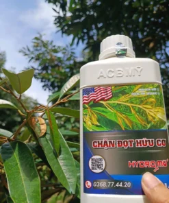 Chặn Đọt Hữu Cơ